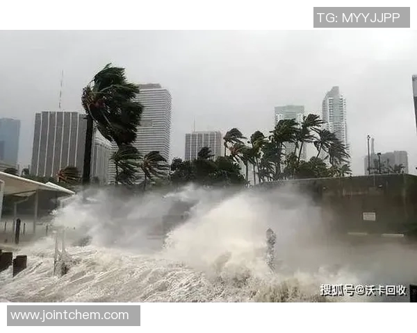 全球气候变化加剧 各国紧急应对行动引发热议